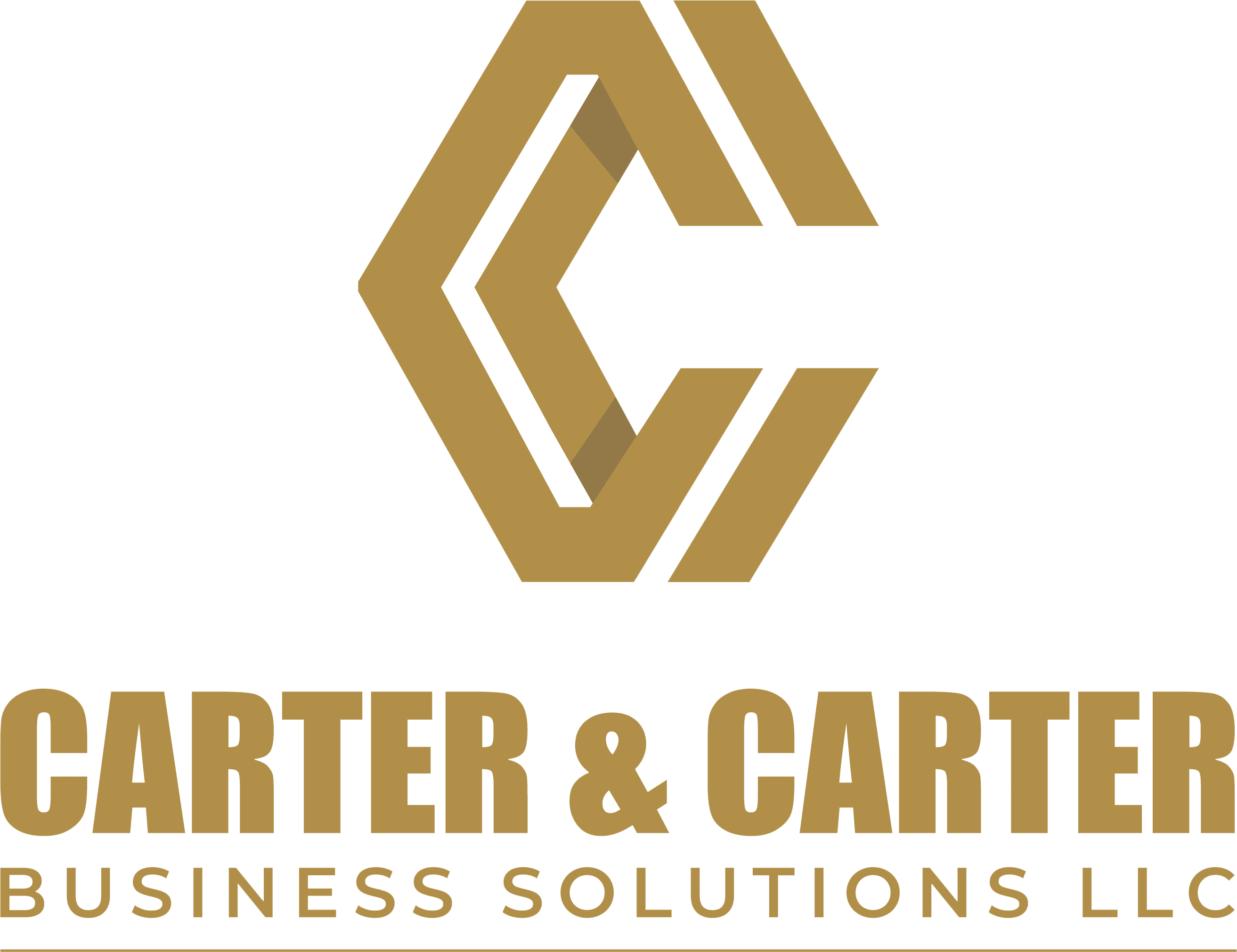 CARTER & CARTER  BUSINESS SOLUTIONS LLC